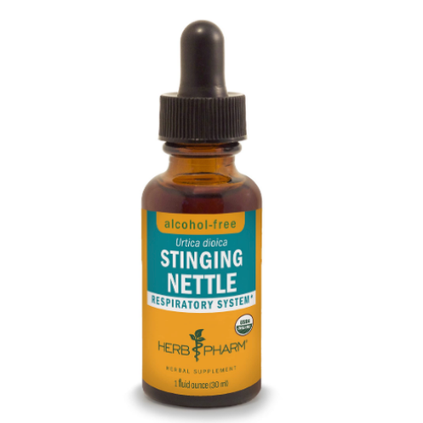 Stinging Nettle