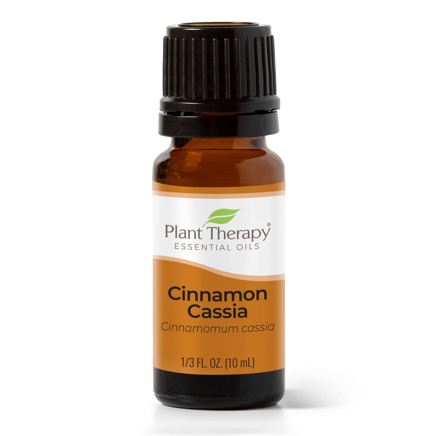 Cinnamon Cassia