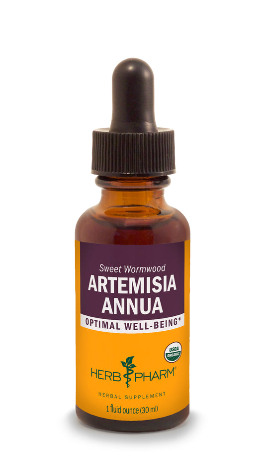 Supplement - Artemisia Annua