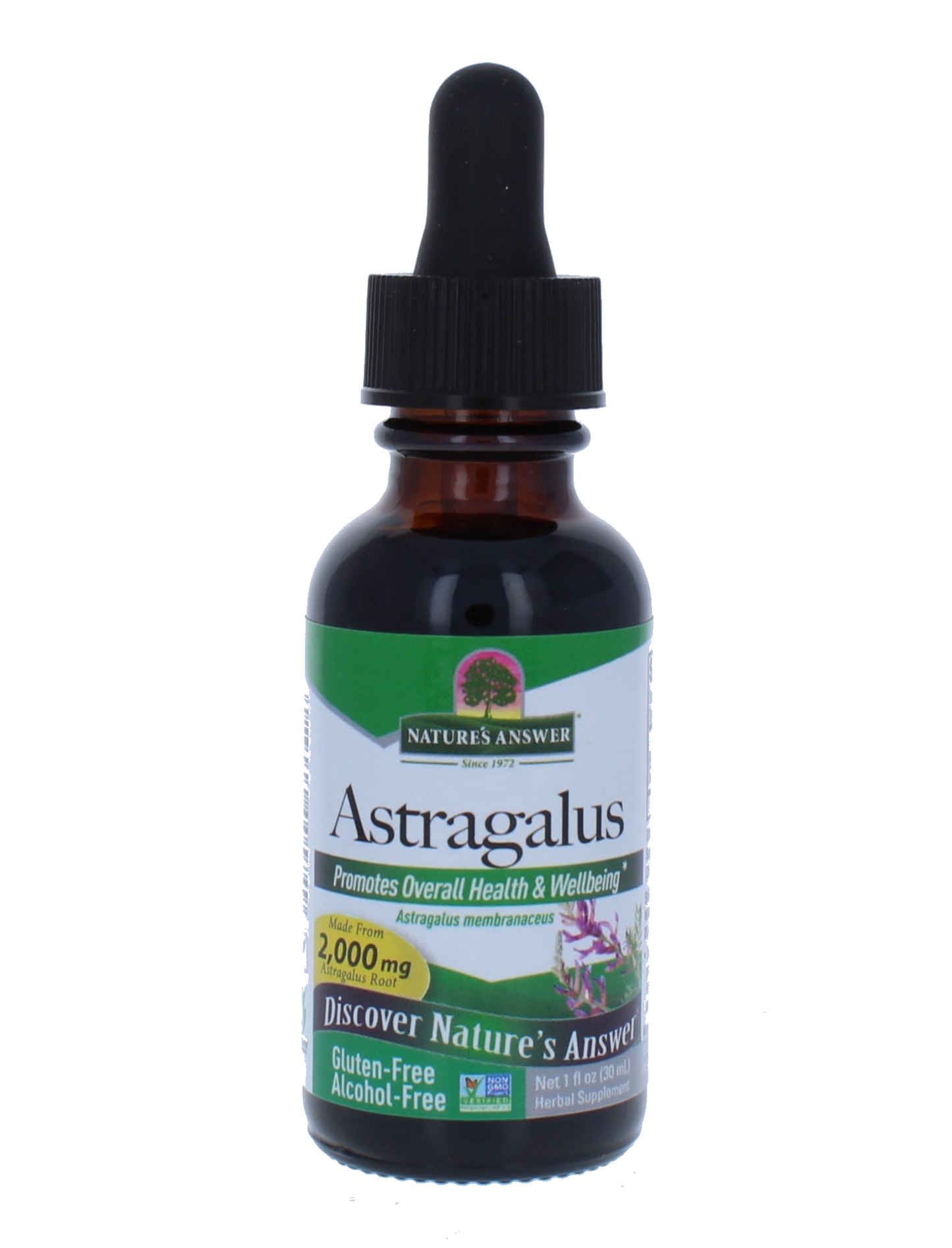 astragalus-tintura