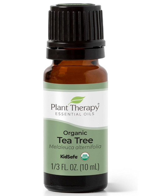 Tea tree