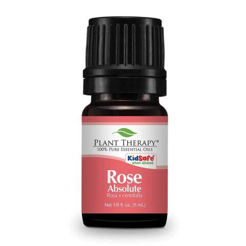 rose-absolute-essential-oil